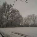 171210-PK-sneeuwval in Heeswijk- 7 